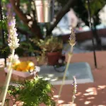 Titika Vila Argostoli (Kefalonia)