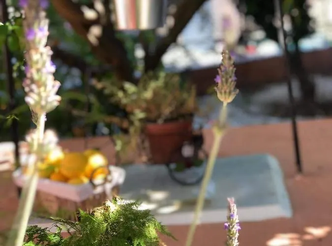 Titika Vila Argostoli (Kefalonia)